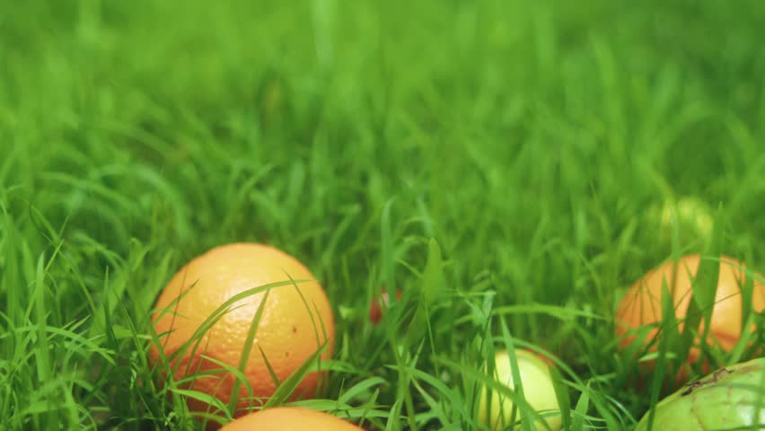 Smooth zoom out reveals oranges and other fruits lying on lush green grass under natural daylight