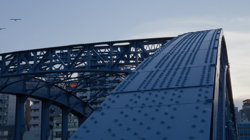 A shot capturing the distinctive blue arch of Komagata Bridge over the Sumida River against a dusk sky.