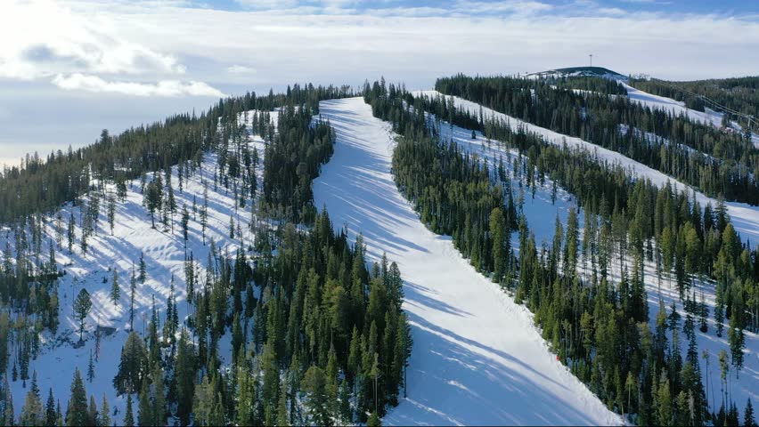 Aerial footage of a winter mountain with ski trails winding through pine trees, capturing the serene beauty and excitement of alpine skiing in a natural setting.