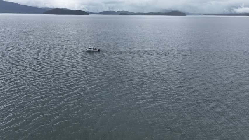 Aerial view of a boat sailing on the ocean next to an orca under an overcast sky, creating a serene yet dramatic scene, Juneau, Alaska, United States.