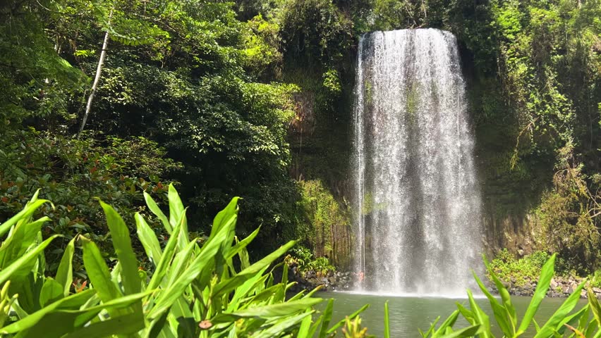 Stunning View Of Millaa Millaa Falls, Atherton Tablelands Region, Queensland, Australia