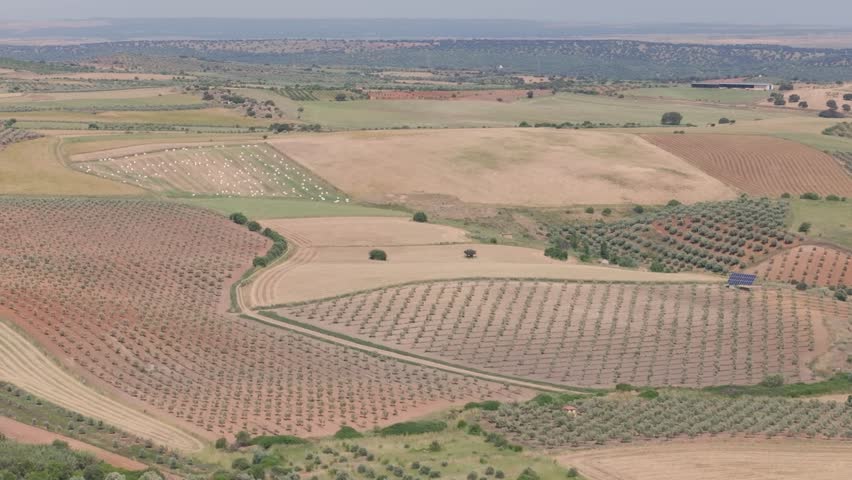 Drone footage at 70mm reveals diverse agricultural fields with olive groves, hay bales, plowed and harvested plots, rich in earth tones and textures across a colorful rural landscape.