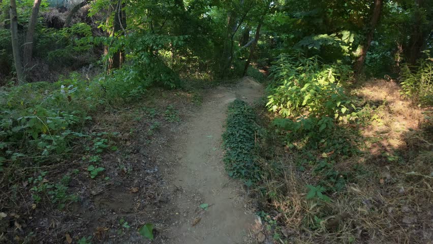 First-person POV walking along a narrow dirt trail through a lush, shaded forest with dense greenery and tree roots crossing the path. Peaceful nature hike in summer woodland