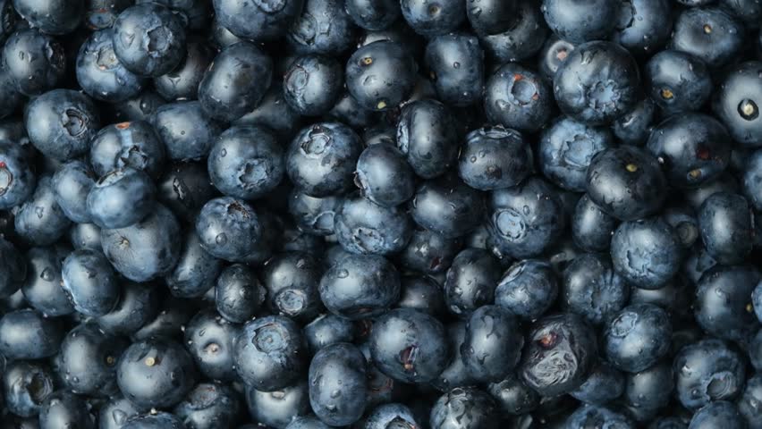 Falling Blueberries in Slow Motion. Berry Pile Impact