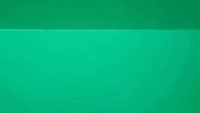 Slow motion of fresh tomatoes being immersed in water. - Powered by Shutterstock - Get 15% off with code: PIKWIZARD15