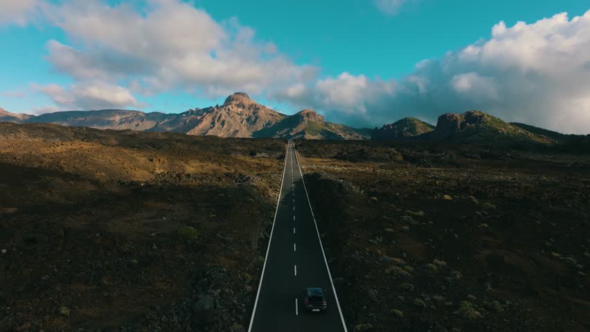 Shutterstock Video