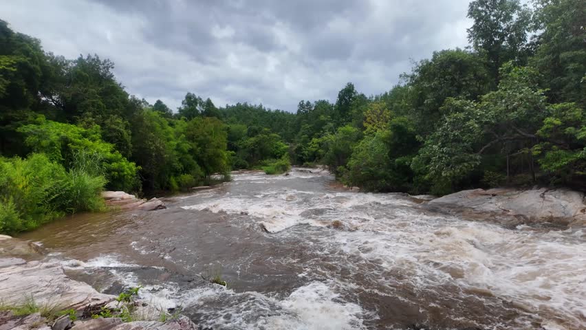 A strong waterfall cascading through a lush green forest during the rainy season. The river current is powerful and the water has turned muddy after heavy rainfall, showcasing the raw energy of nature