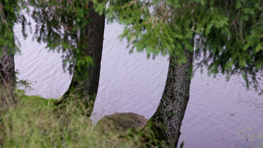 Hiking near Calaita lake and Forcella Calaita - Italy