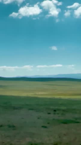 A serene view of an expansive open field with a bright blue sky and scattered white clouds, showcasing the beauty of nature and the tranquility of rural landscapes, Mongolia, tc01