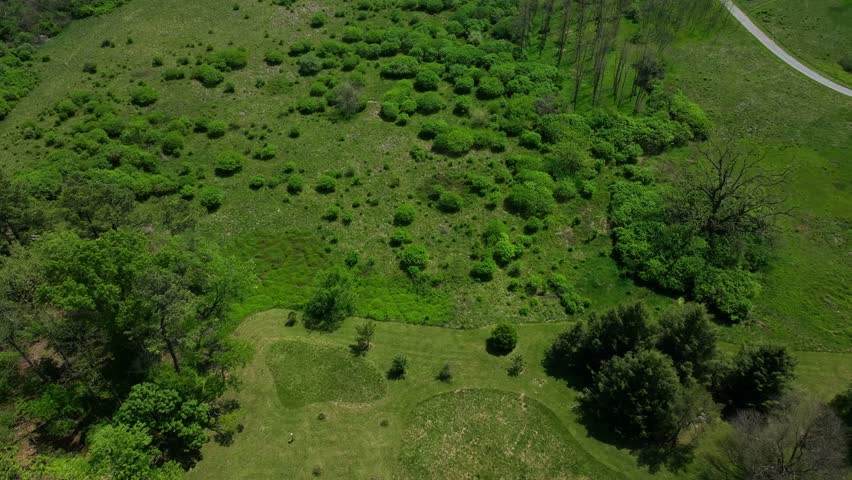 Peaceful green countryside in Virginia with green trees rolling hills, farmland landscape with sunshine