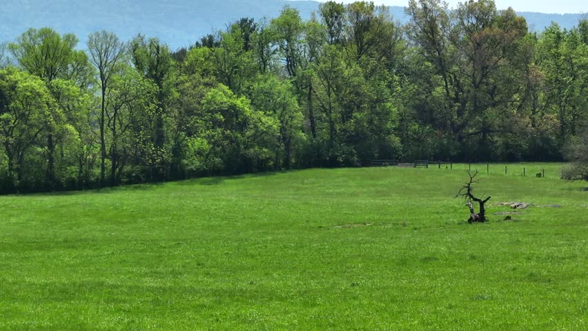 Peaceful green countryside in Virginia with green trees rolling hills, farmland landscape with sunshine