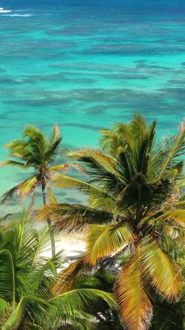 Pristine and bounty tropical coastline with coconut palm trees and azure caribbean sea. Beautiful landscape. Aerial view from drone. Vertical footage