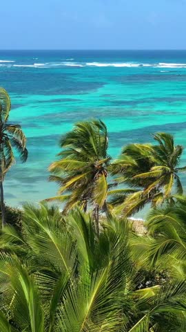 Pristine and bounty tropical coastline with coconut palm trees and azure caribbean sea. Beautiful landscape. Aerial view from drone. Vertical footage