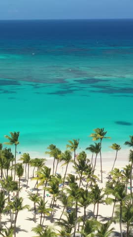 Tropical coastline with resorts, palm trees and caribbean sea. Travel destinations. Dominican Republic. Aerial view