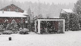 A wooden gazebo with a table, benches and swings stands next to a grassy lawn. Behind it are trees, fence, buildings and forest. It is snowing very heavily in the middle of spring. Overcast weather - Powered by Shutterstock - Get 15% off with code: PIKWIZARD15