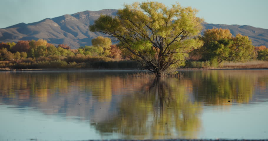 this is a video of bosque del apache wildlife refuge during the fall colors and during eragation