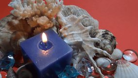 marine ornamental with clams, snails, crustaceans, blue candle 