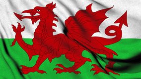 
Waving flag of Wales featuring a striking red dragon on a white and green background, symbolizing Welsh pride and heritage.
 - Powered by Shutterstock - Get 15% off with code: PIKWIZARD15