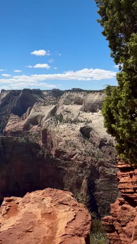 View of Zion National Park from Observation Point (Zion National Park, Utah, USA)