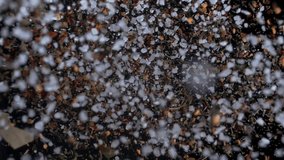 Spicy aromatic spices coarsely ground and granulated salt fly up and hang in the air on a black background. Close-up. Macro. Slow motion - Powered by Shutterstock - Get 15% off with code: PIKWIZARD15
