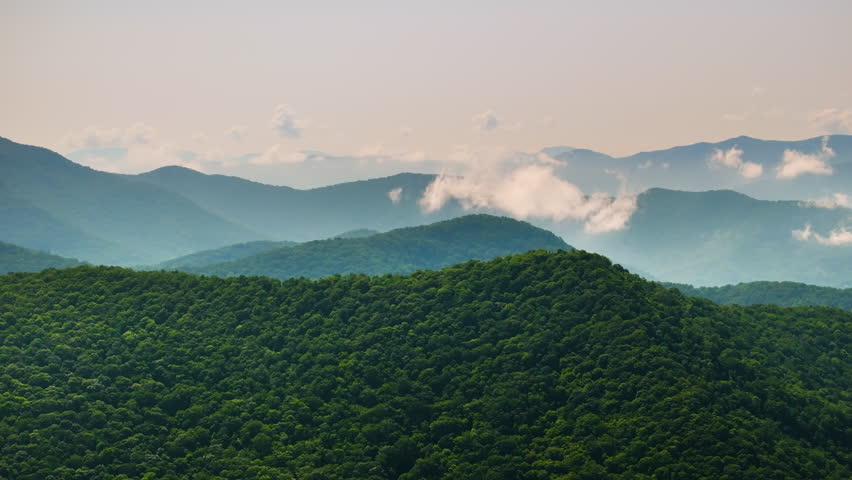 Smoky mountains summer woods. Appalachian mountains in North Carolina with fresh green forest trees in summertime rainy season. Beauty of USA nature.
