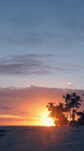 Tropical sunrise. Silhouette of coconut palm trees on the beach. Travel destinations. Vertical footage