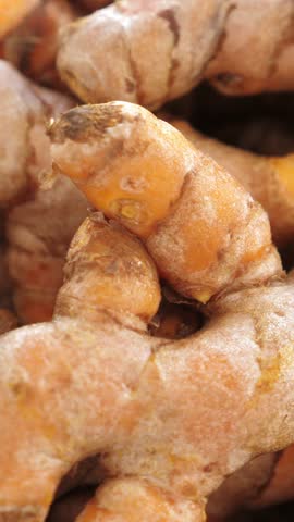 Roots of ginger, alternative medicine concept. Rotating. Vertical footage