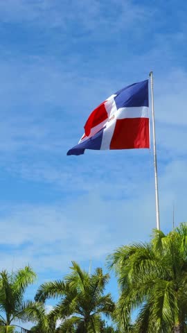 Flying and waving flag of Dominican Republic on wind on blue sky background and palm trees. Vertical footage