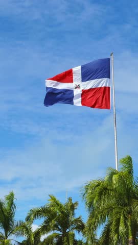 Flying and waving flag of Dominican Republic on wind on blue sky background and palm trees. Vertical footage