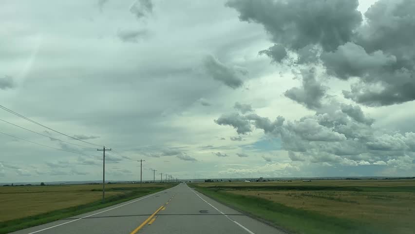 Agricultural prairie scene with roadside view of wheat and canola fields under sunny skies summer country road trip rural Canada farmland drive scenic travel photography landscape