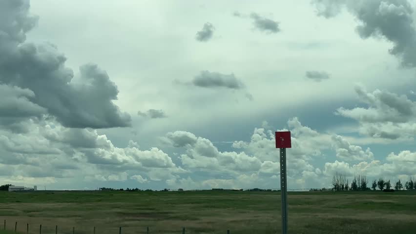Agricultural prairie scene with roadside view of wheat and canola fields under sunny skies summer country road trip rural Canada farmland drive scenic travel photography landscape