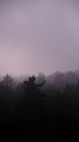 Misty landscape with fir forest. Cottage roof, bungalow. Surreal atmospheric mood. Dark Spruce Wood silhouette surrounded by Fog. Panoramic foothills, mountains. Surreal journey, spirituality