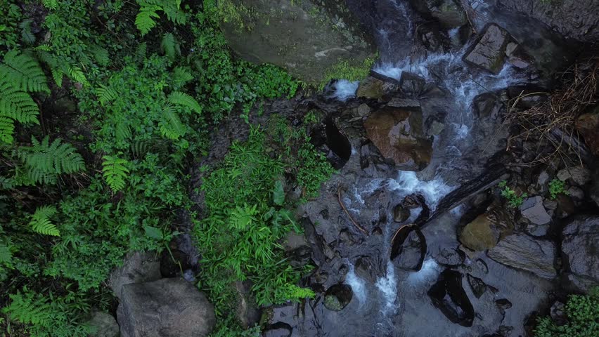 Nature's Beauty in Flowing WAterfall Scene
