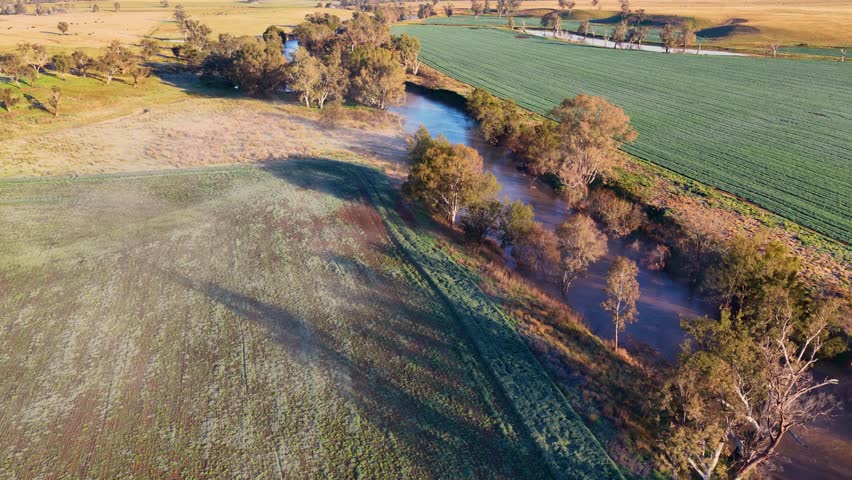 Drone footage glides above a winding river bordered by green fields and scattered trees in rural Coonabarabran, Australia, under warm early morning sunlight