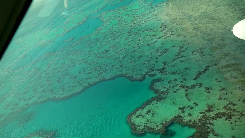 Heart reef seen from seaplane window, natural wonder on Great Barrier reef