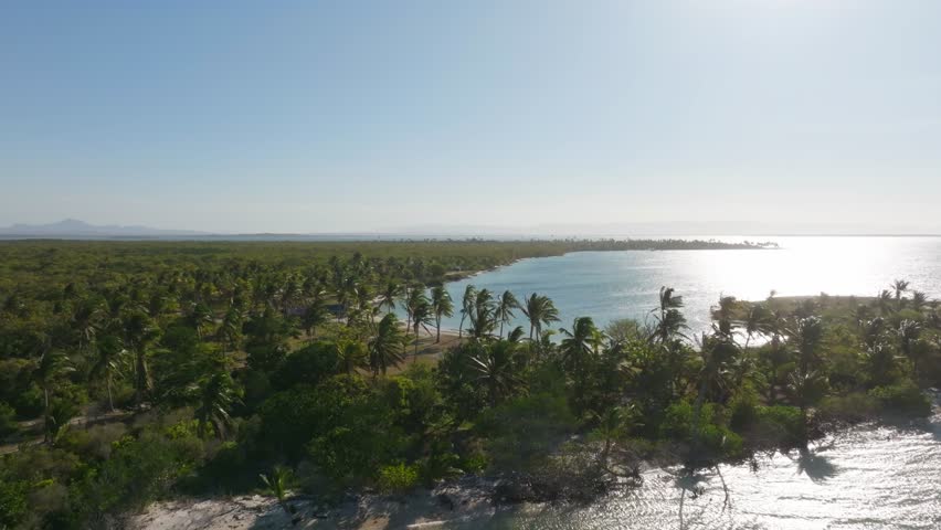 Drone advances above Sakalava Bay in Madagascar, revealing tropical coastline and dense palm forest in sunlight.