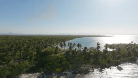 Drone advances above Sakalava Bay in Madagascar, revealing tropical coastline and dense palm forest in sunlight. - Powered by Shutterstock - Get 15% off with code: PIKWIZARD15