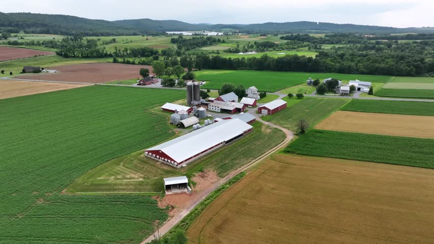 Aerial footage of a traditional American farm with striking red barns, silos and well-maintained outbuildings. rural architecture and agricultural landscapes in usa. Silo storage and stable.