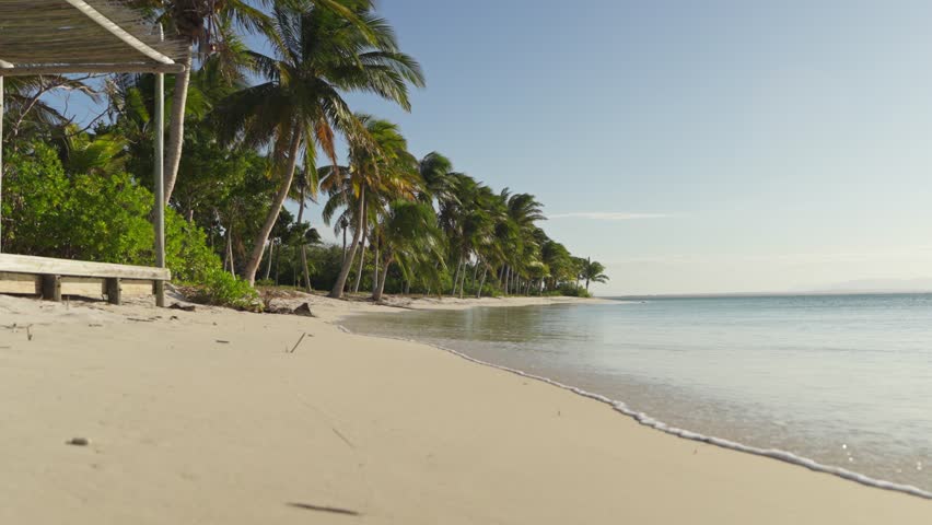Tranquil beach scene on a private island in northeastern Madagascar shows palm trees lining the soft white sand as clear ocean water gently laps the shore beneath the morning sun.