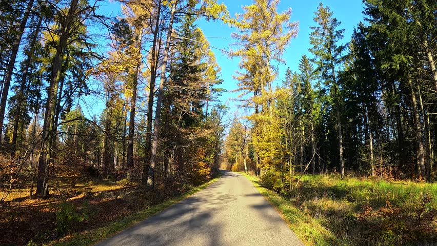 car drive on autumn road in beautiful nature