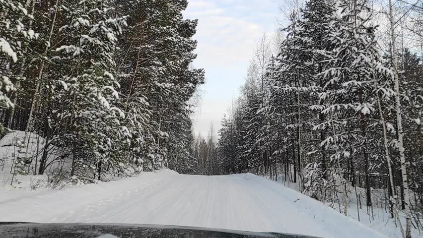 Scenic winter road surrounded by tall evergreen trees blanketed in snow, creating a serene atmosphere