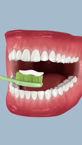 Toothbrush cleaning teeth. Medically accurate 3D Animation of oral hygiene