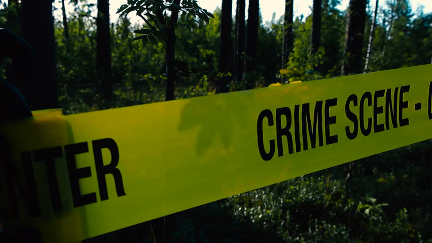 Close up view of a police detective or investigator unravel or unrolling and pulling a yellow colored Crime scene tape in front of a wooded area or a forest during a sunny day, tape is backlit by sun.