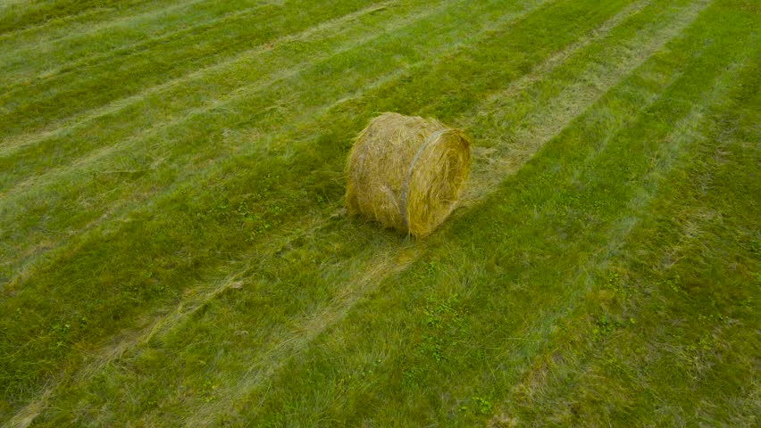 Aerial drone video focused on a single silage freshly made hay bale roll and flying further revealing a large green grassy farm field land with more hay bales around it during summer time cloudy day.