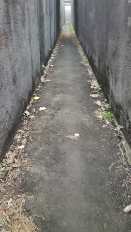 Walking on the narrow alley