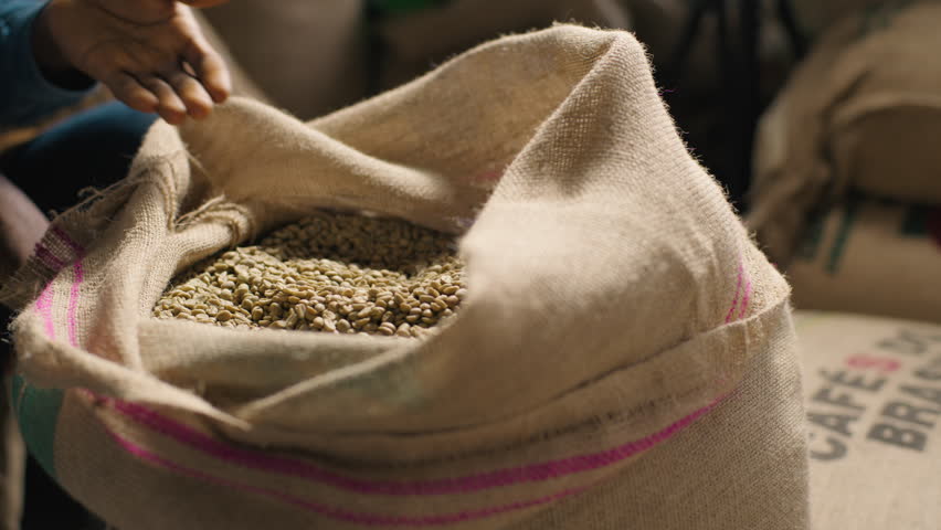 Unknown African American man male coffee factory worker inspects raw green beans freshness texture agriculture bag organic stimulant grain preparation harvesting aroma production sorting manufacturing