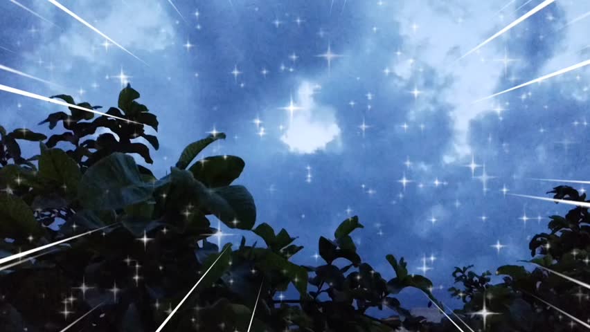 The video depicts a stylized night sky with clouds and sparkling stars, viewed from below a tree or bush with dark foliage silhouetted against the sky.