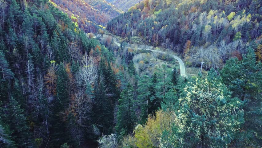 Experience the breathtaking beauty of nature with this vibrant aerial view of a dense autumn forest captured in stunning 4K resolution. A mesmerizing tapestry of fall foliage blankets the landscape, s
