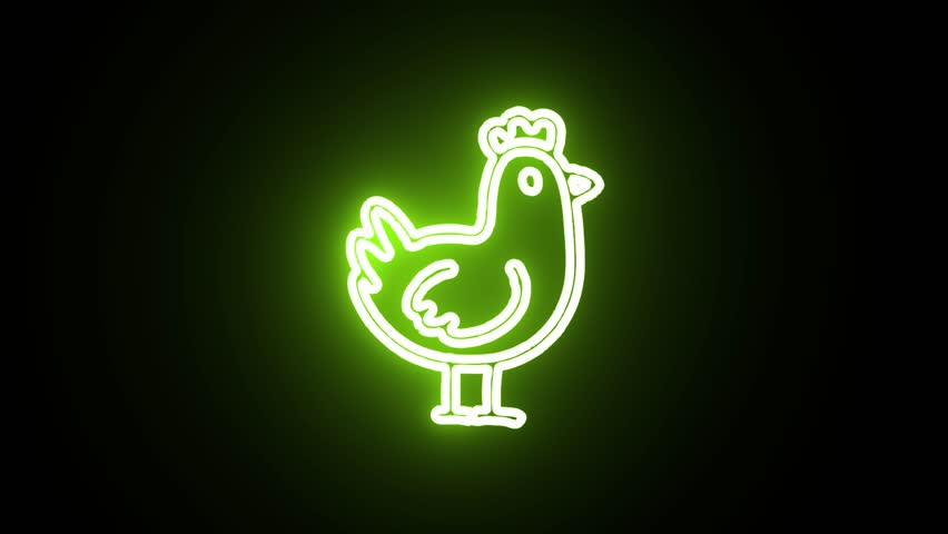 Shutterstock Video
