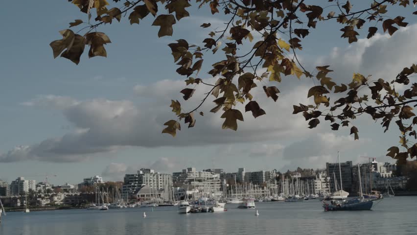 Autumn Cityscape Backgrounds in North America